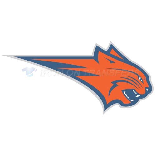 Charlotte Bobcats Iron-on Stickers (Heat Transfers)NO.928